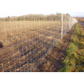 Erweiterbares Gras -Veldspan -Feldzäune verzinkte Zaun